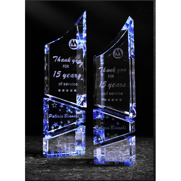 Sculptural Odd-Shape Trophy - custom trophies with your logo